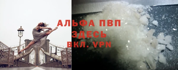 стаф Арсеньев