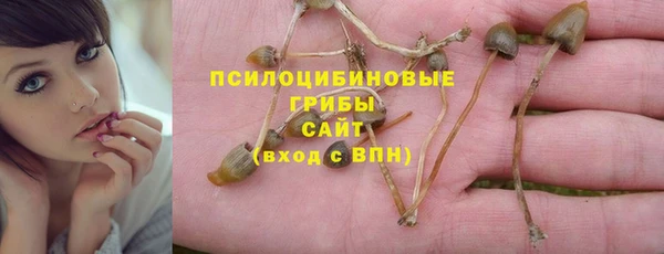 меф Пестово