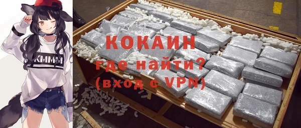 шишки Аркадак