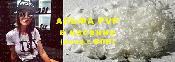 шишки Аркадак