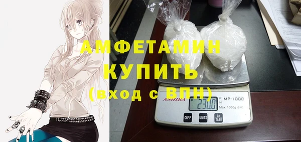 шишки Аркадак