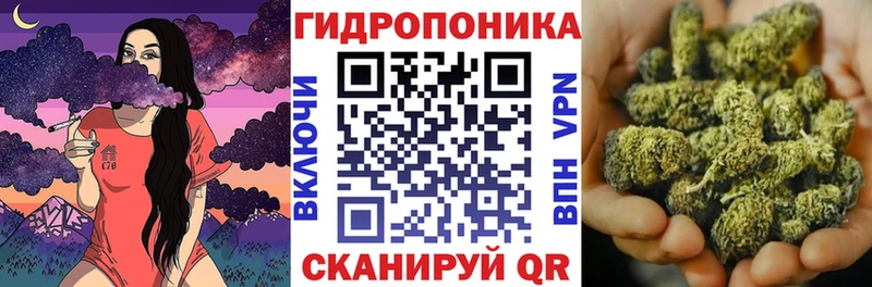 mega зеркало  Курчалой  Марихуана Ganja 